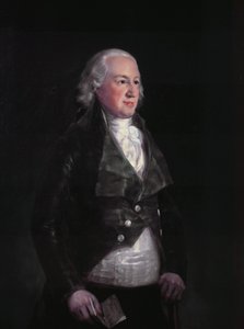 ドンペドロデアルカンタラテレーズジロン 作： Francisco de Goya